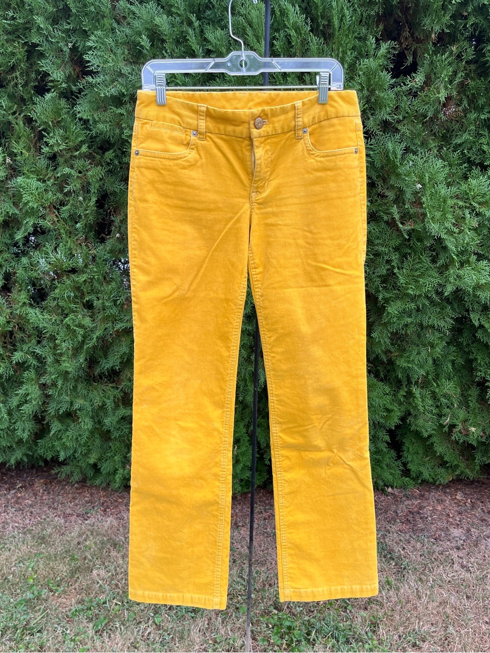 J. Crew Women's Mustard Yellow Corduroy Straight-Leg Pants